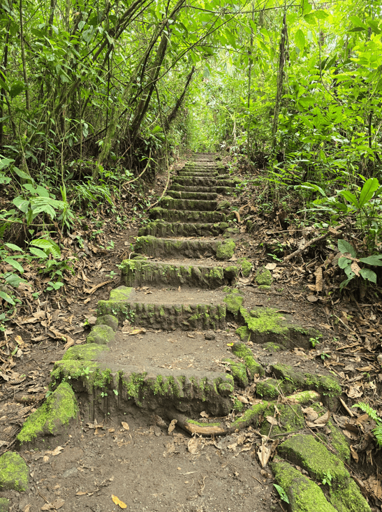 The Red Trail on the 1968 Lava Trail included a set of steps.